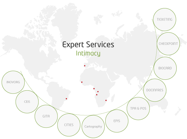 Expert Services